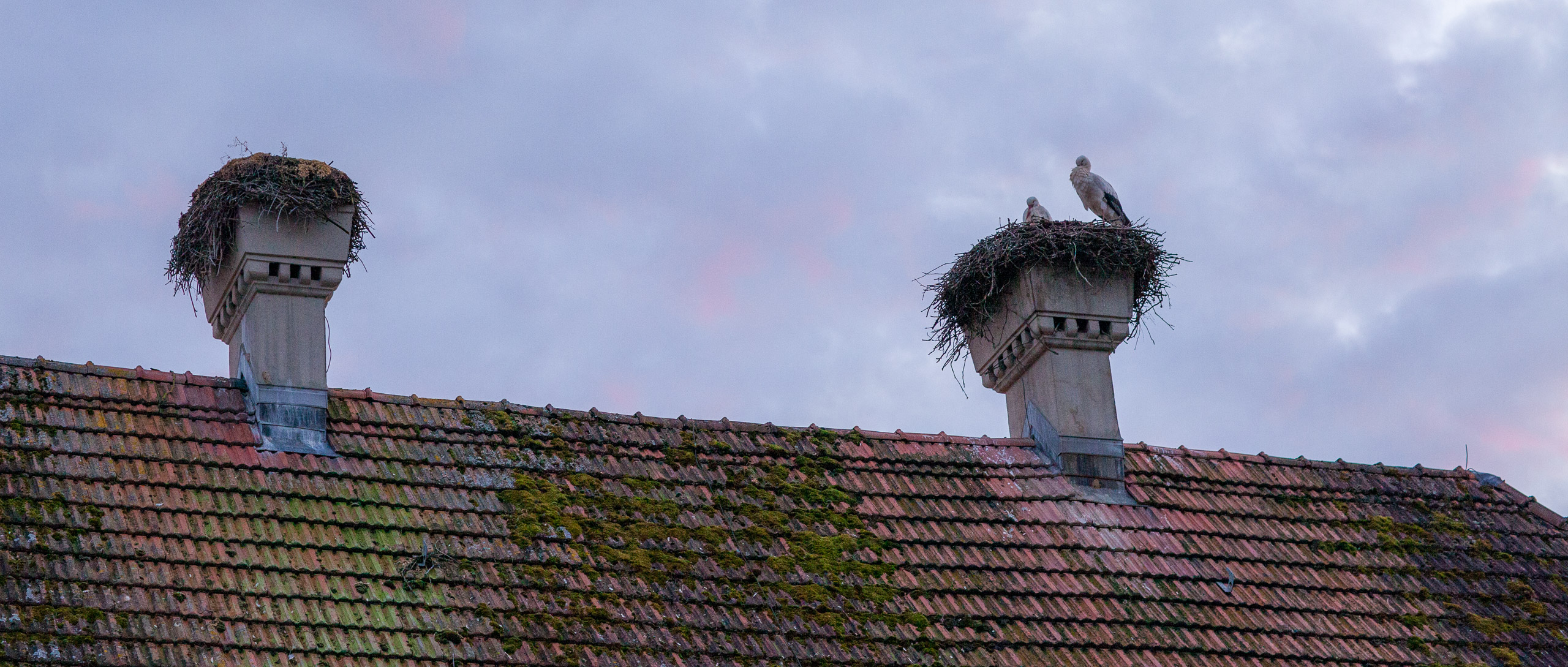 20120224181021 IMG 3292